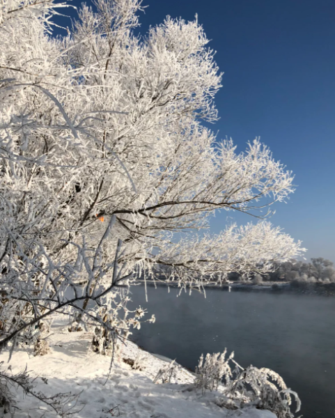 哈尔滨+亚布力+雪乡+长白山+雾凇岛+老里克湖  8日游